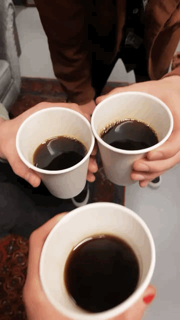 Levitate Coffee (Spring 2024 blend!)